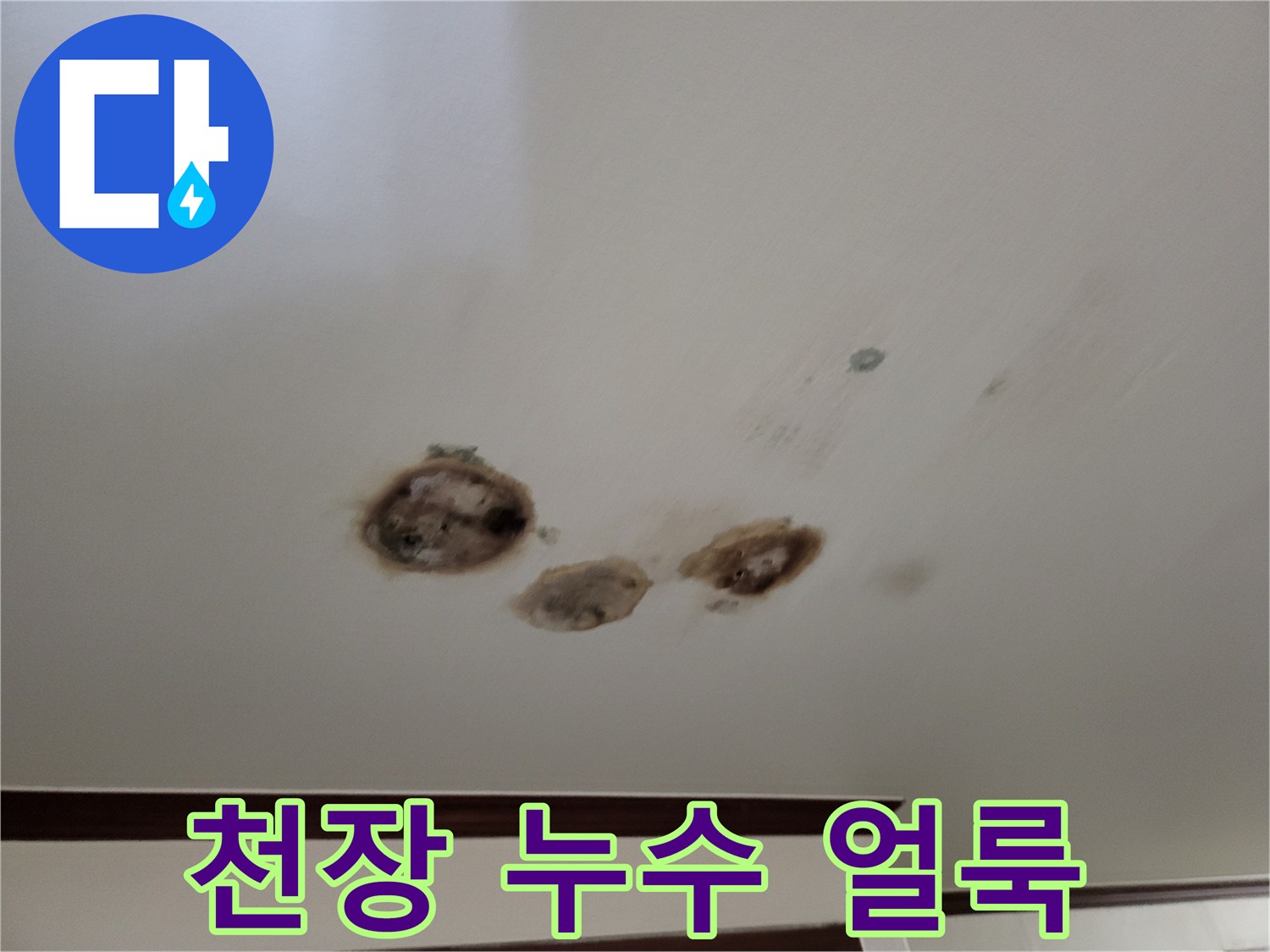 다세대 주택-천장 부위의 젖은 흔적과 갈색 얼룩