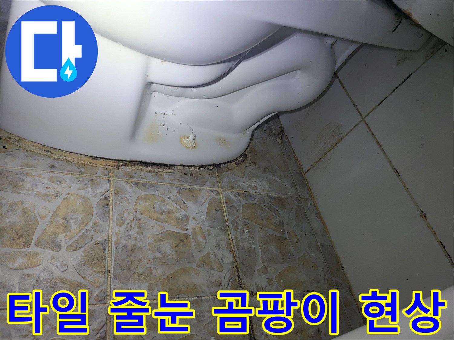 습기로 인해 검게 변한 타일 줄눈과 배관 주변의 오염 상태