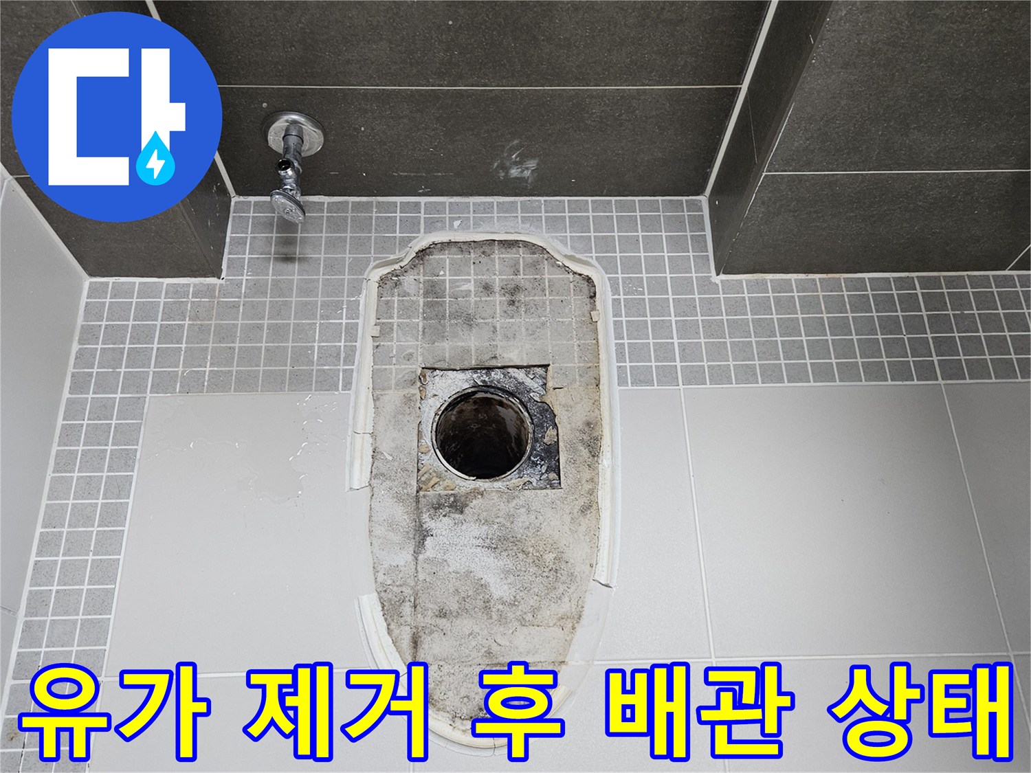 배수구-트랩-제거-후-배관-틈새의-오염된-상태