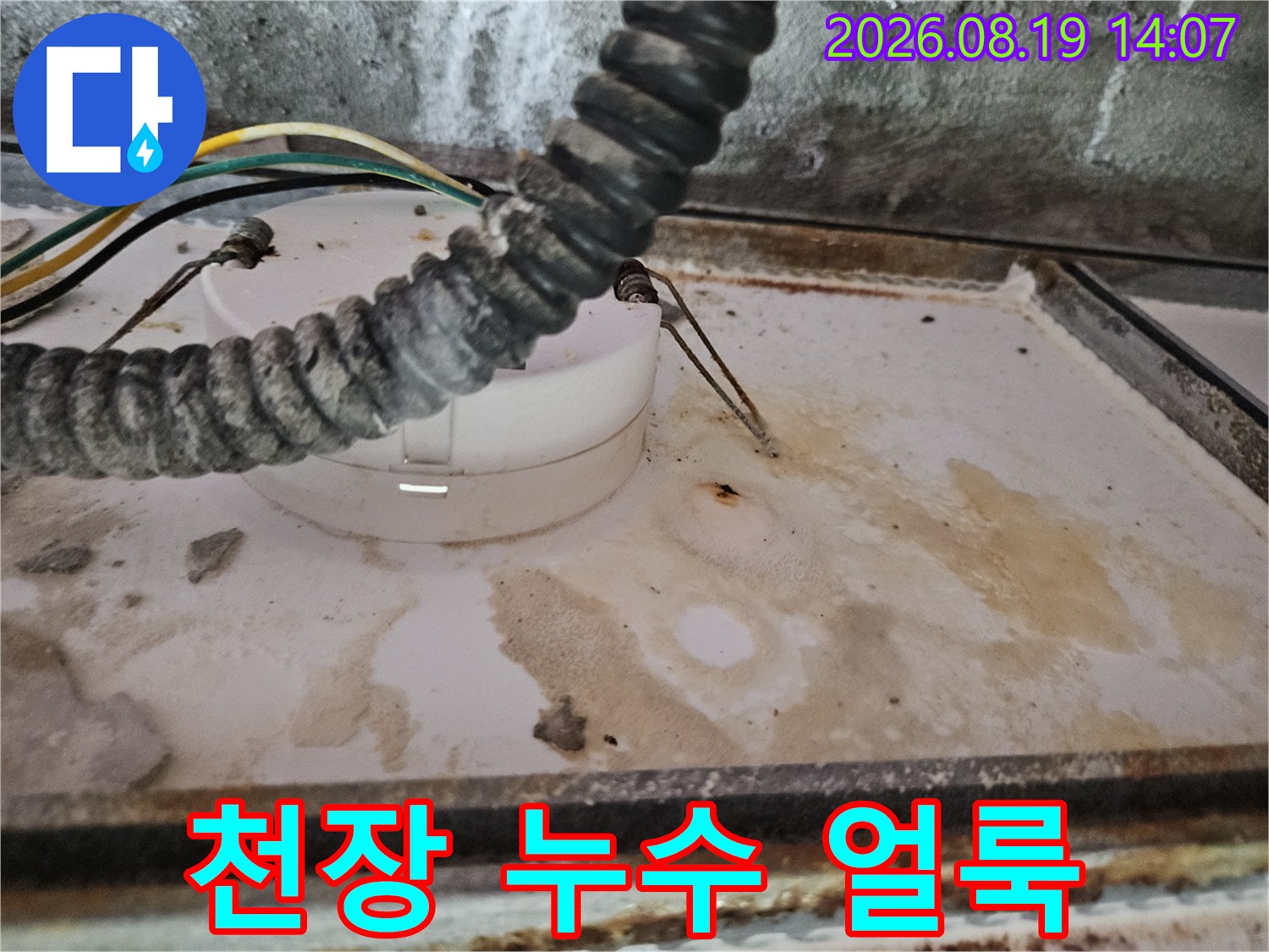 양주 옥정동-배관 주변에 나타난 심한 물자국과 변색된 천장
