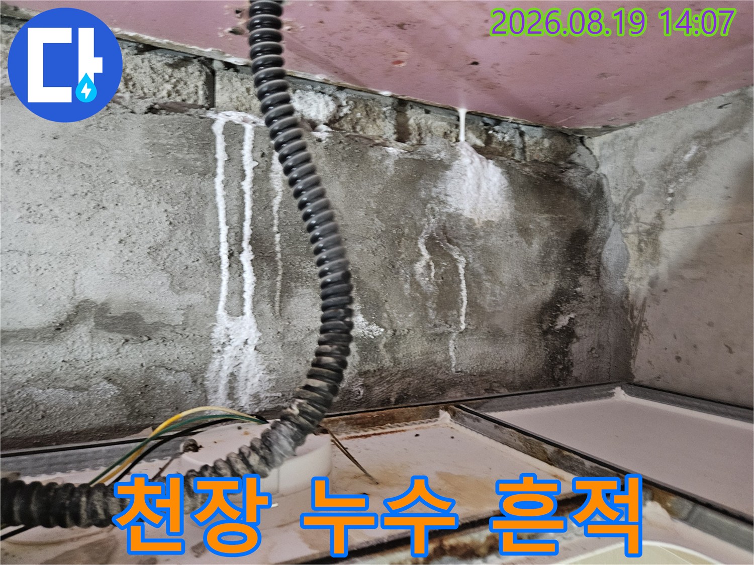 양주 옥정동 현장의-화장실 천장 벽면 누수 자국과 배관 상태