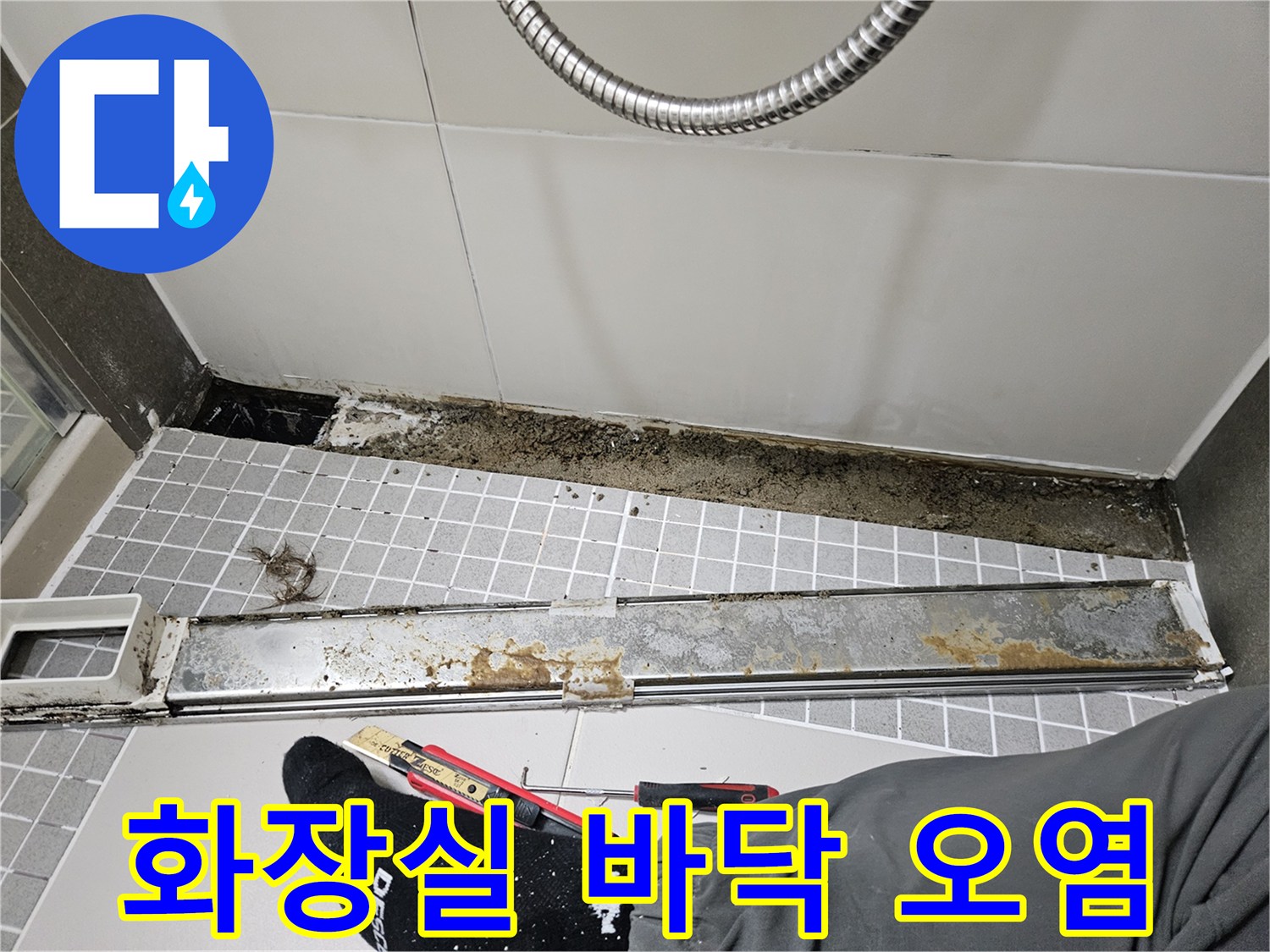 양주 옥정동-화장실 배수구 주변의 심한 물때와 오염 상태