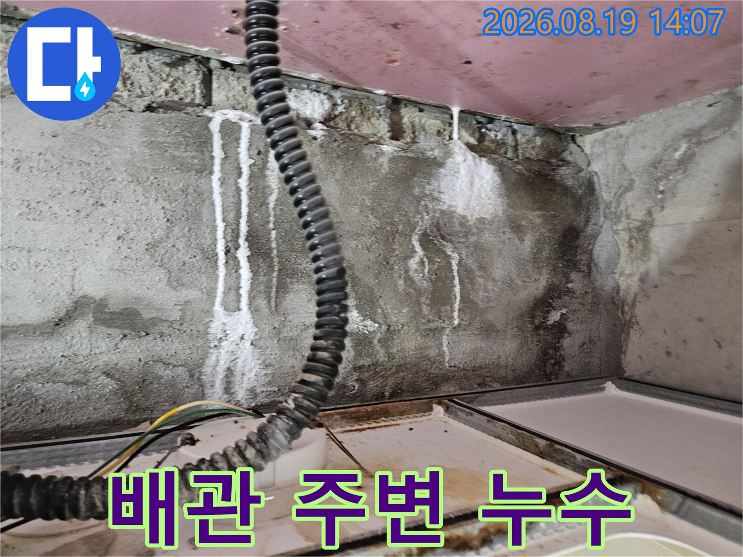 천장 내부의-검은색 주름관과 벽면의 하얀 석회물 자국