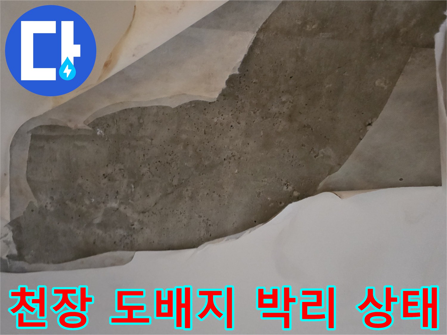 남양주 다산동 현장-천장 도배지가 물에 젖어 너덜너ty하게 벗겨진 모습