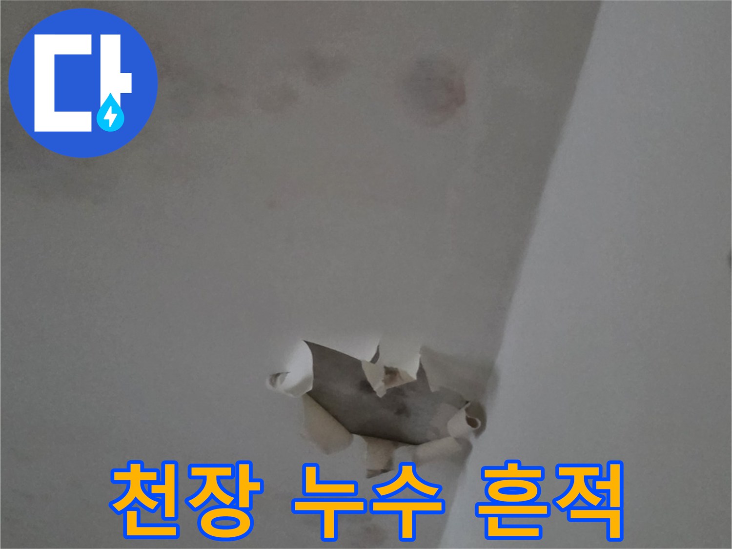 물샘으로 인해 변색되고 찢어진 천장 도배지 부위입니다.