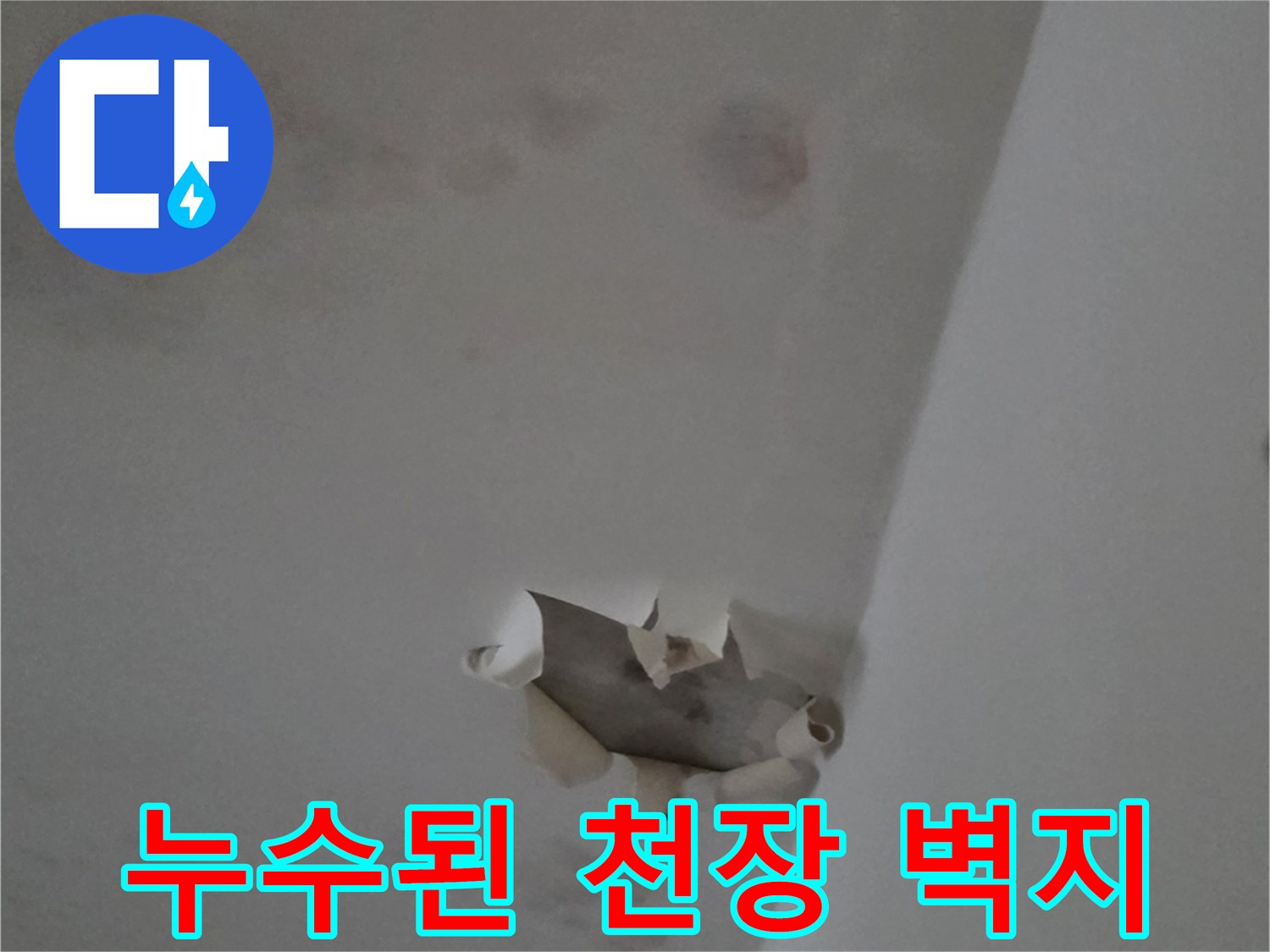천장 벽지가-물에 젖어 찢어지고 변색된 사진