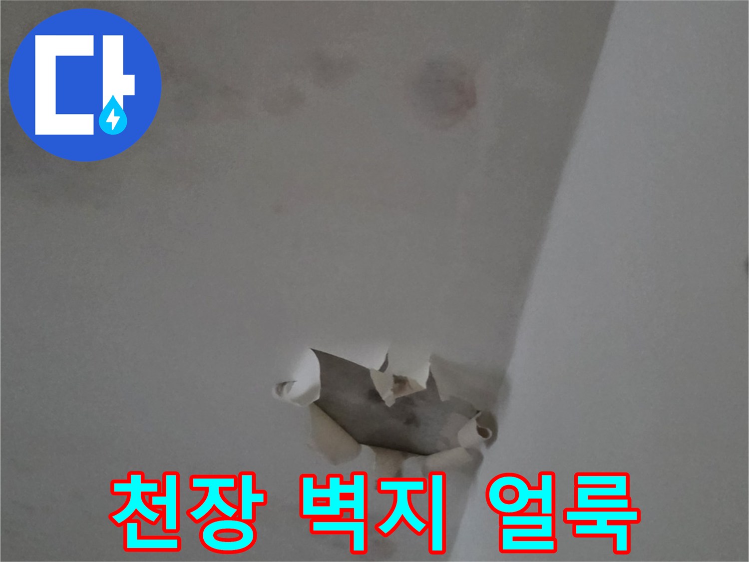 천장 벽지에 발생한 짙은 누수 흔적과 얼룩