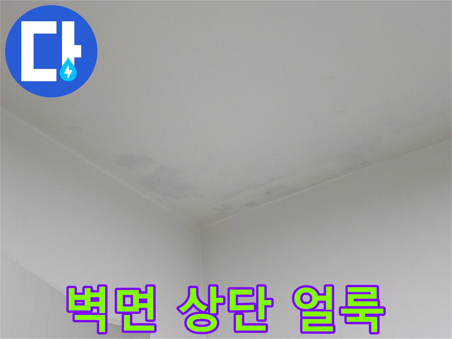 천장과 벽면 경계-습기 침투로 인한 어두운 얼룩 부위