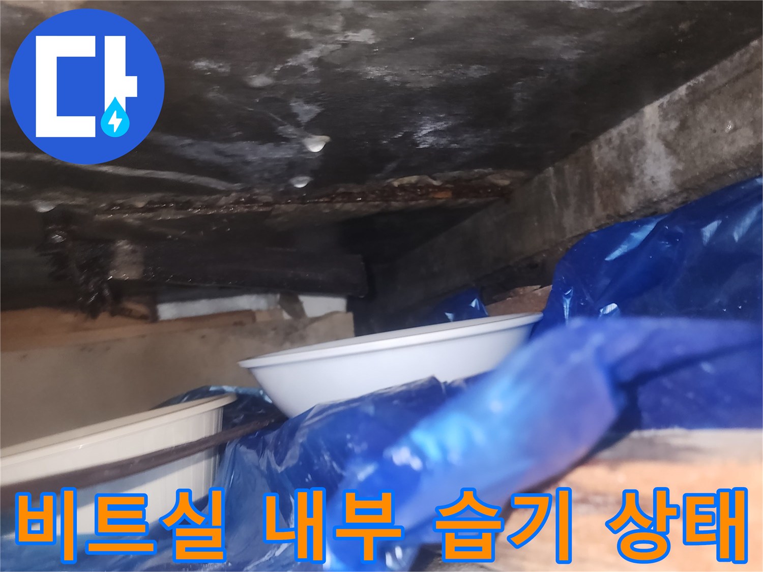 축축하게-젖은-비트실-벽면과-부식된-철근