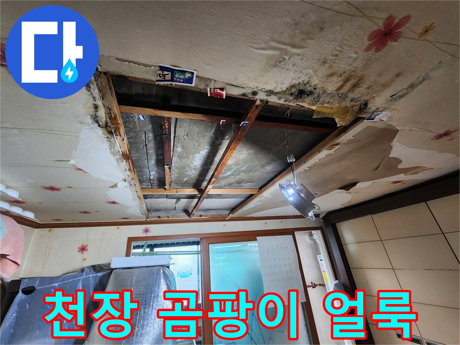 아랫집-천장-벽지-곰팡이와-물자국-상태