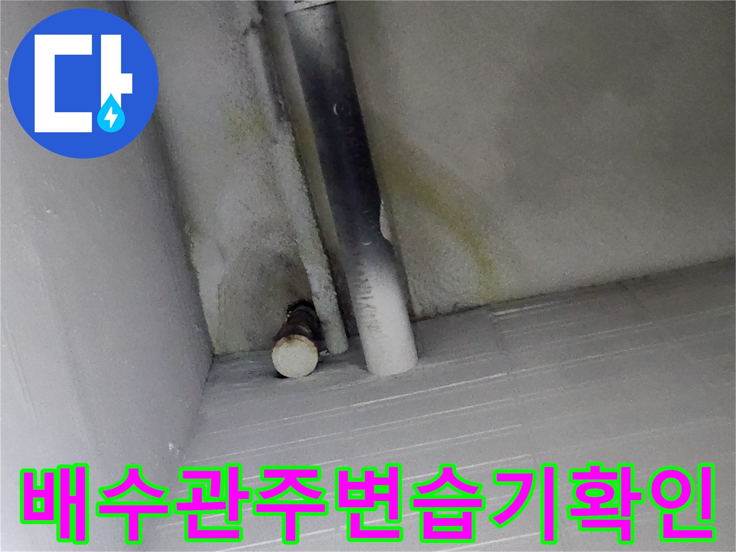 싱크대-하부-배수관-벽면-누수-오염-현황