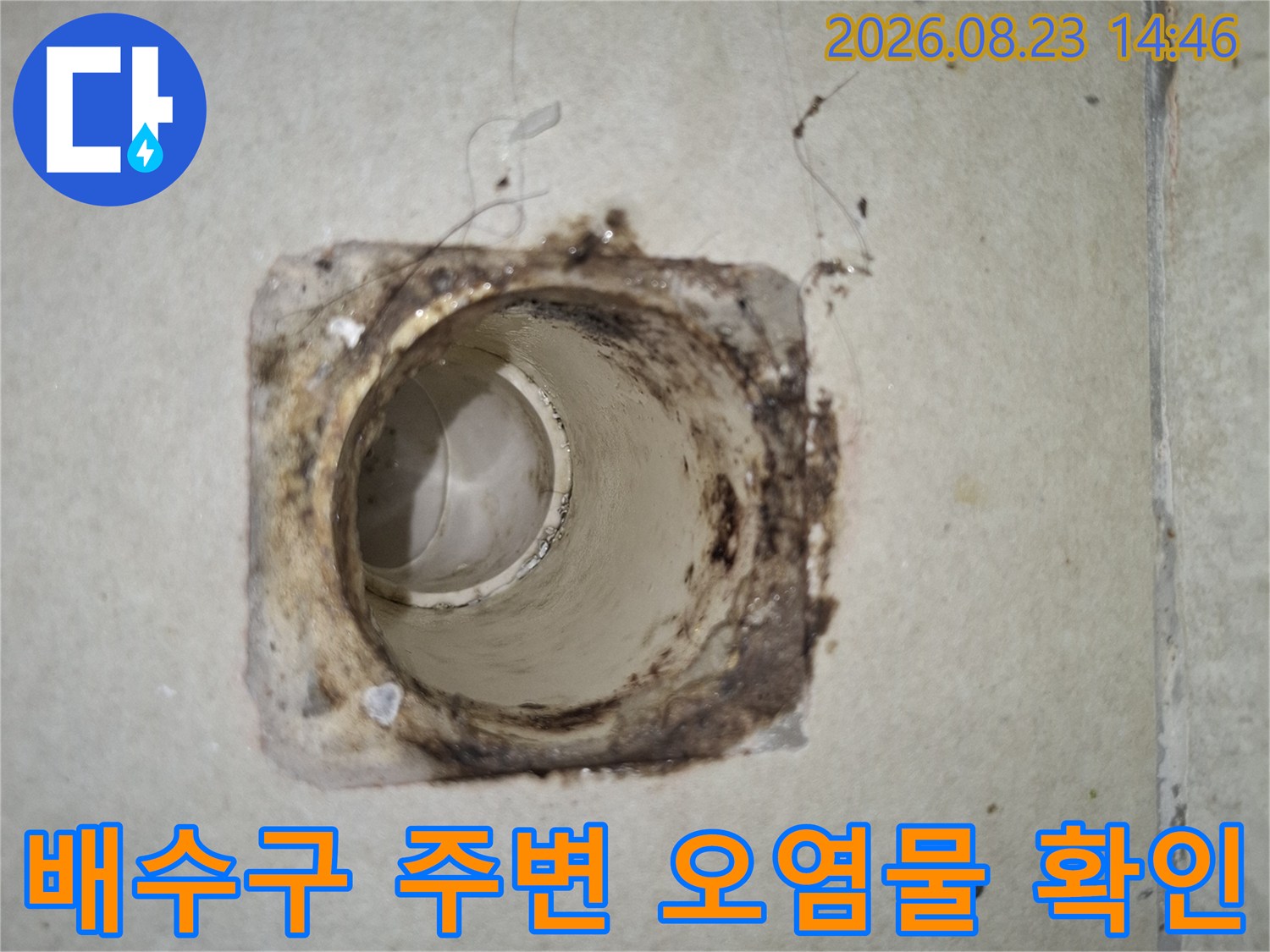 배수구 입구 주변의 곰팡이와 이물질을 촬영한 사진입니다.