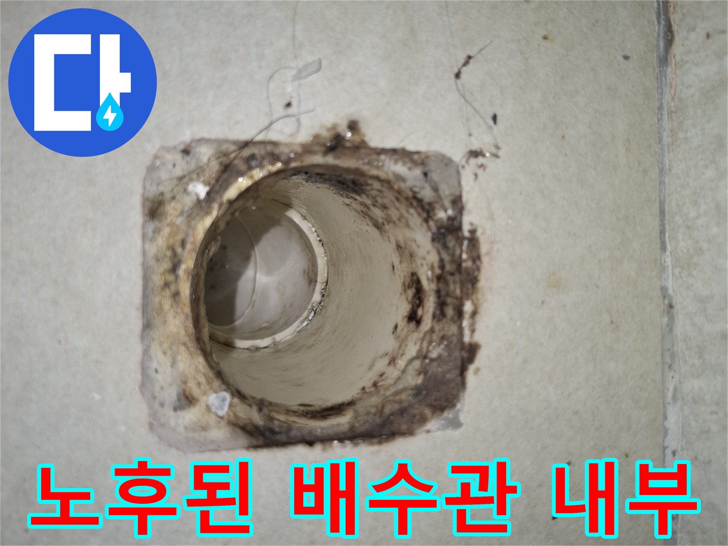 세탁실 배수구-배관 주변의 오염 및 틈새 상태