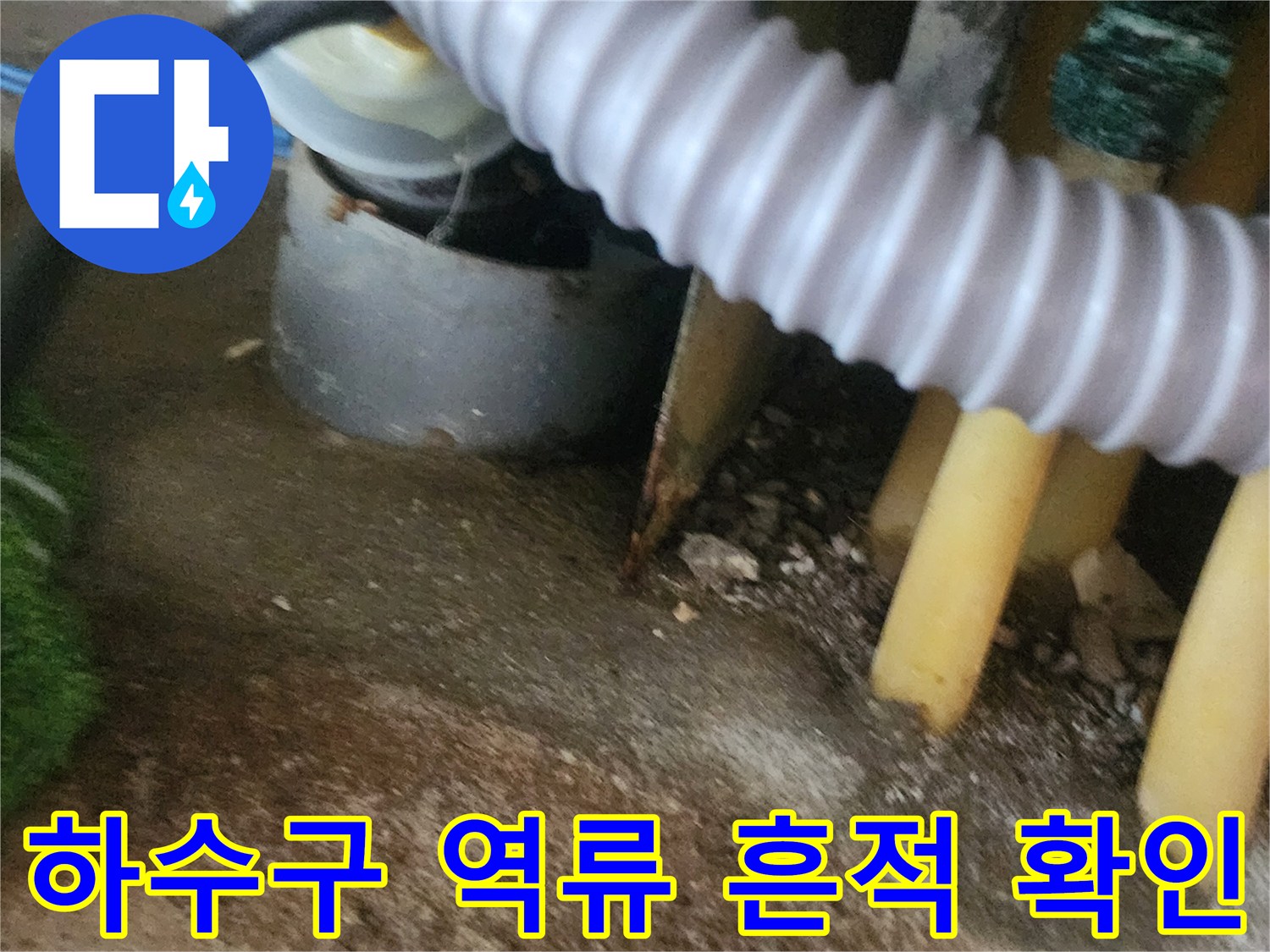 하수구-배관-주변-습기-및-오염-확인
