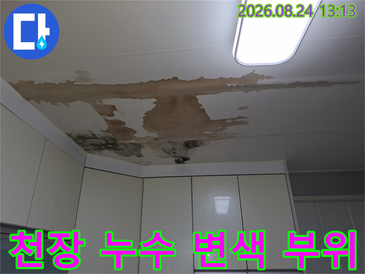 넓게 퍼진 갈색 물자국과 곰팡이가 있는 천장 마감재