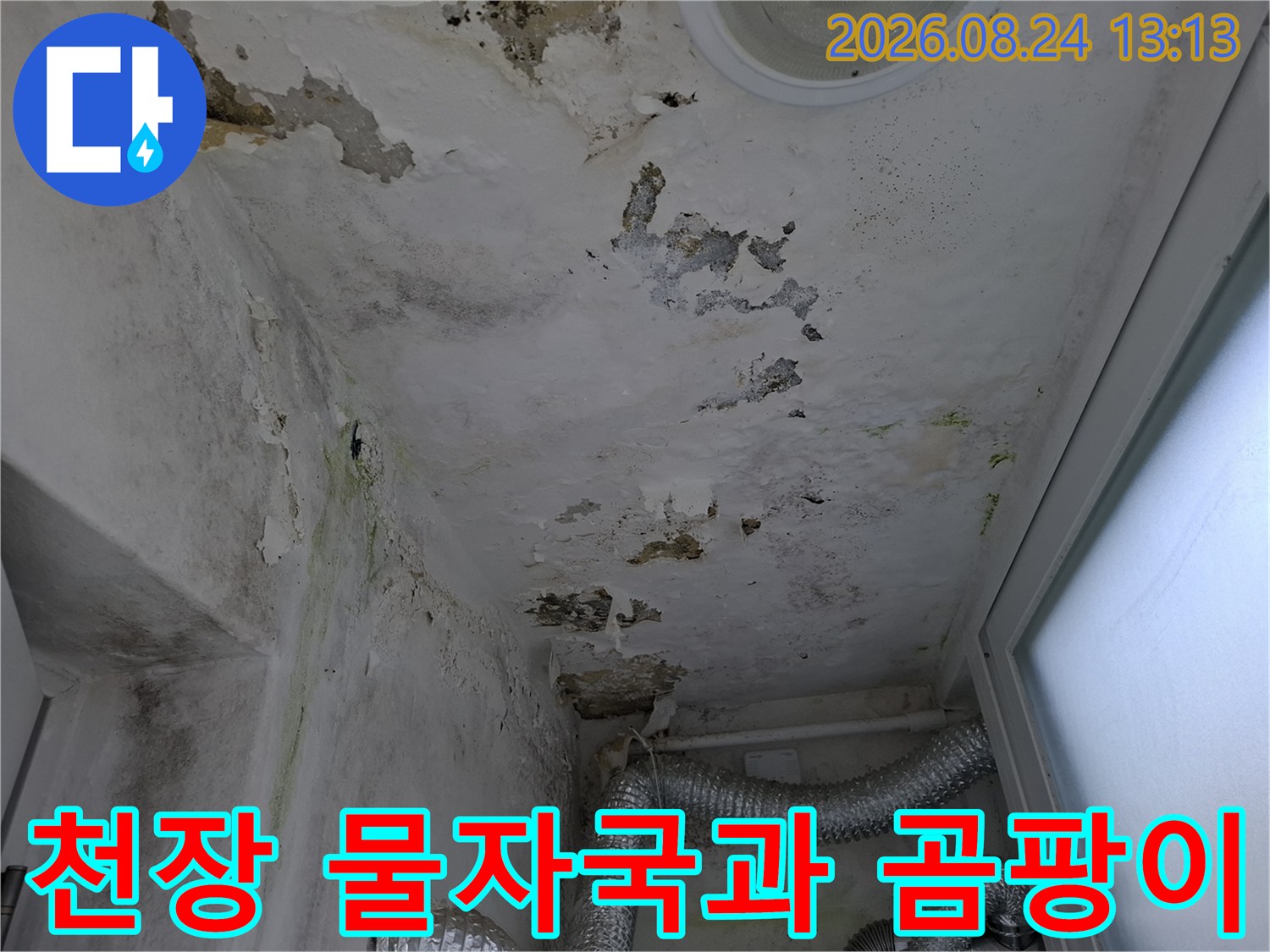 물샘으로 인해 얼룩진 천장 마감재와 곰팡이 부위