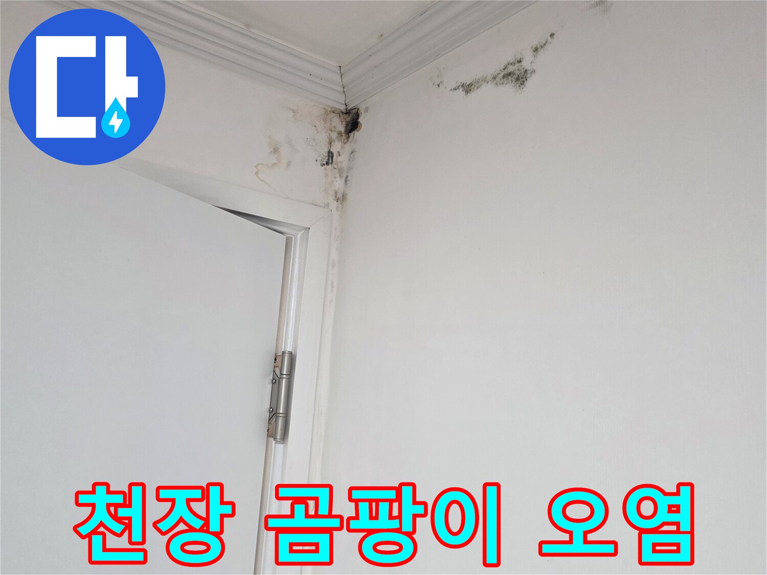 벽면-천장-경계의-심한-곰팡이-발생-부위