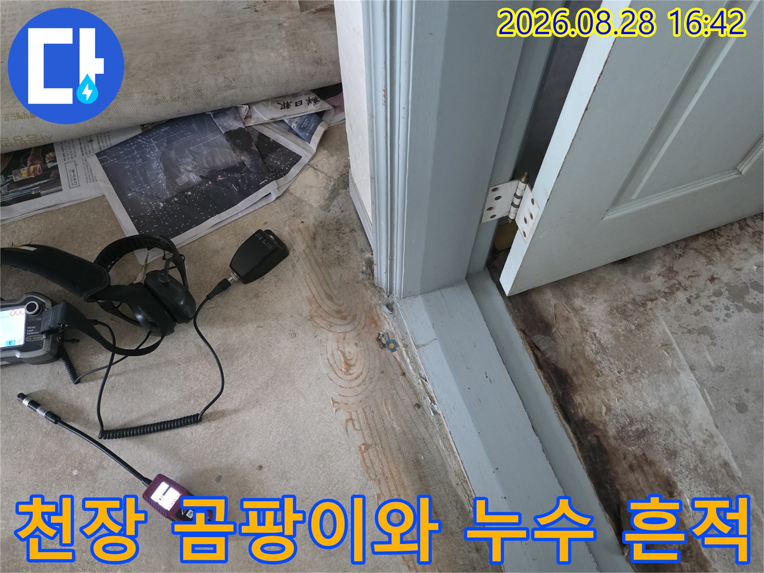 아파트 문틀 주변의 천장 곰팡이 현상 및 누수 점검 상황
