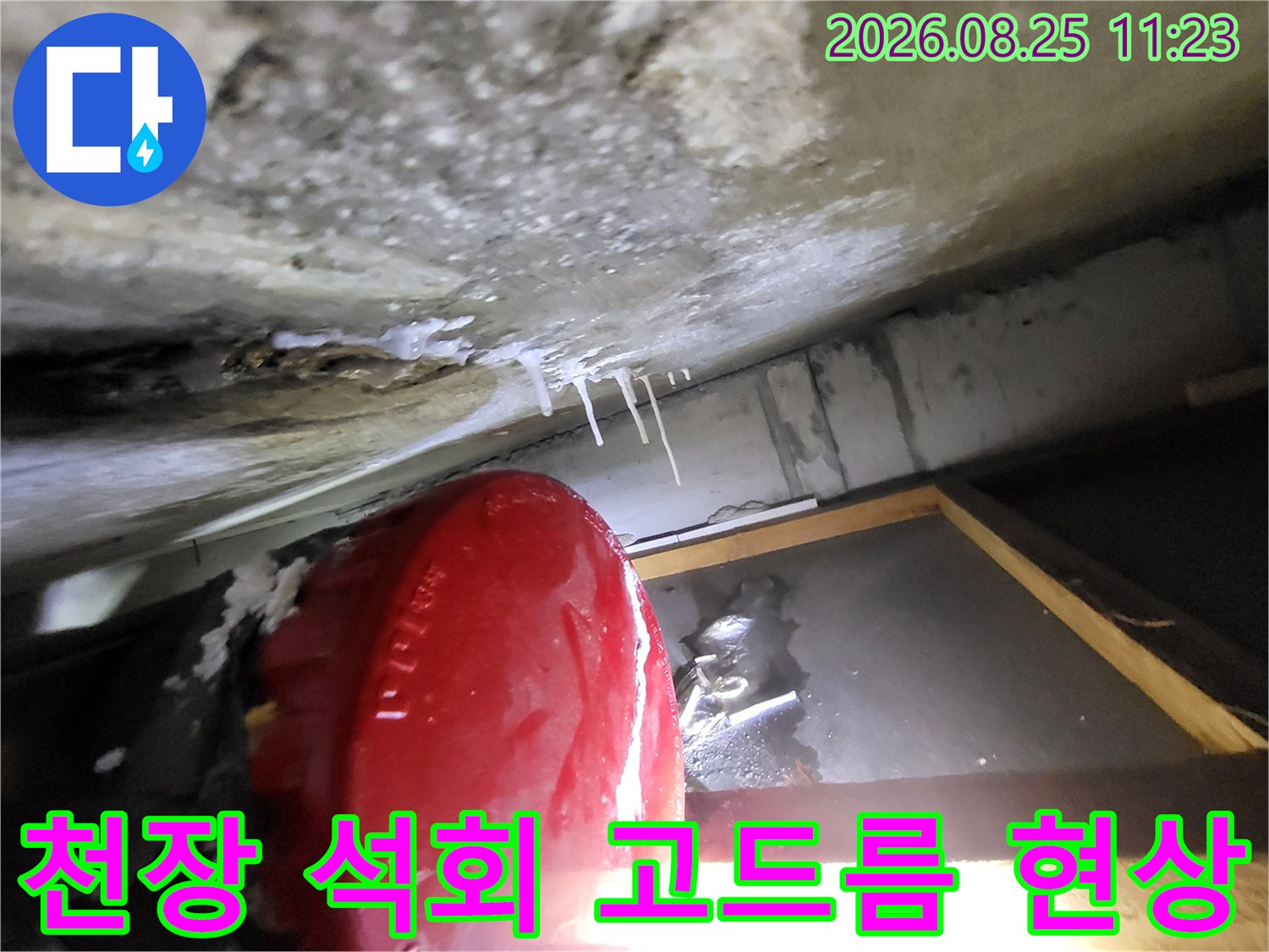 고양시 중산동 화장실 천장에서 발견된 석회물 고드름과 백화 현상