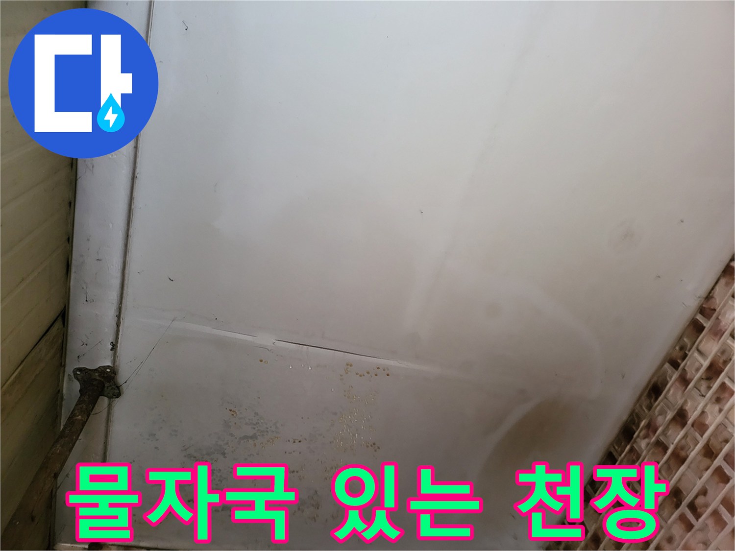 천장 면에 나타난 불규칙한 물 얼룩과 곰팡이