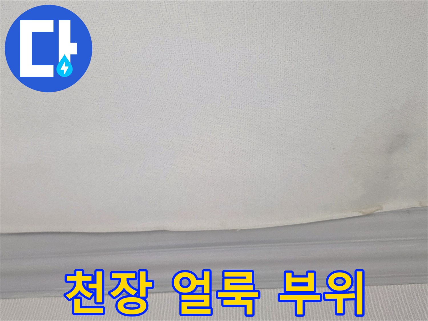 거실 천장 몰딩 주변의 넓은 물 얼룩과 곰팡이 흔적