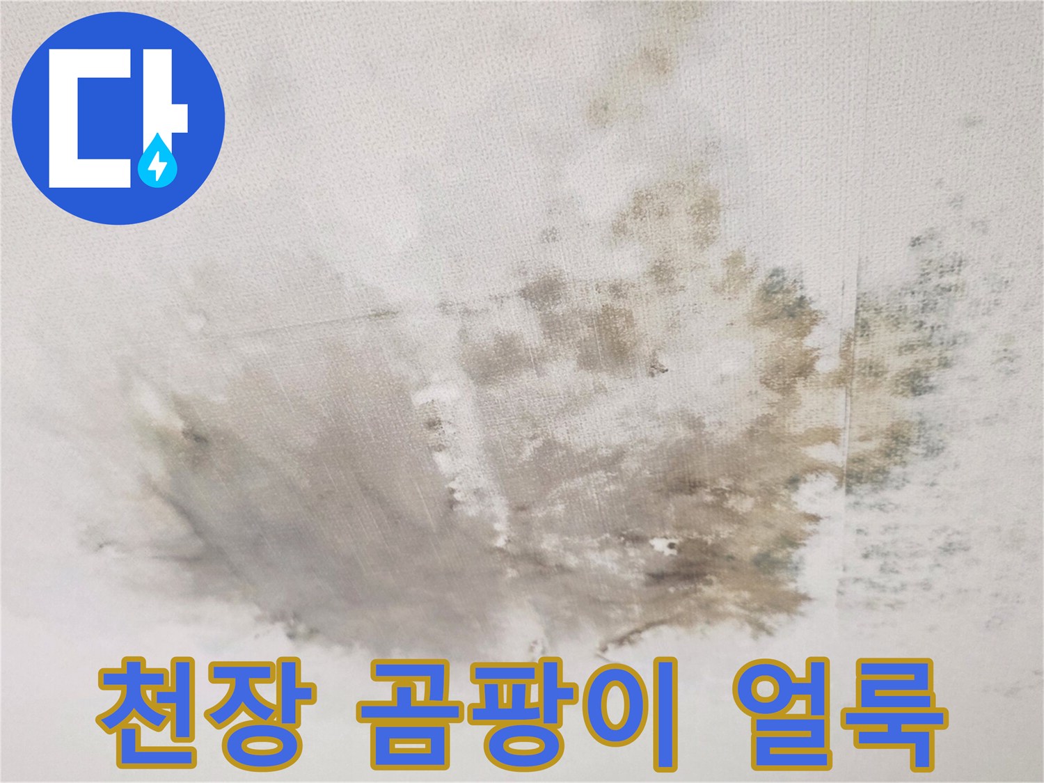 거실 천장 벽지가 습기로 인해 젖고 변색된 모습