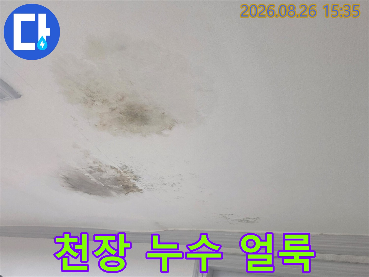 경기 광주시 송정동 빌라 천장에 발생한 넓은 습기 및 곰팡이 흔적