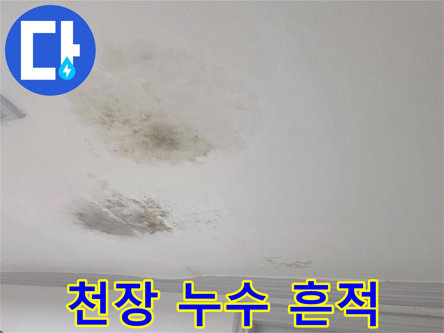 광주 송정동 - 곰팡이가 발생한 거실 천장의 물 얼룩 부위