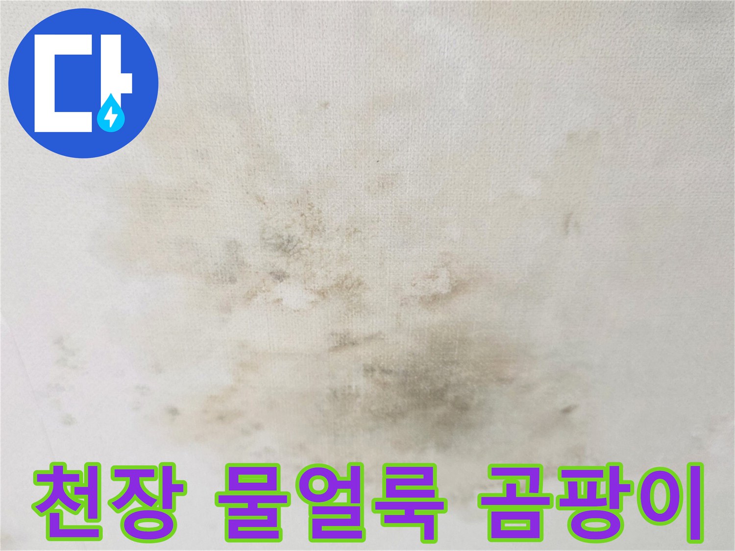 광주송정동-빌라-거실-천장-누수-흔적-및-곰팡이-상태