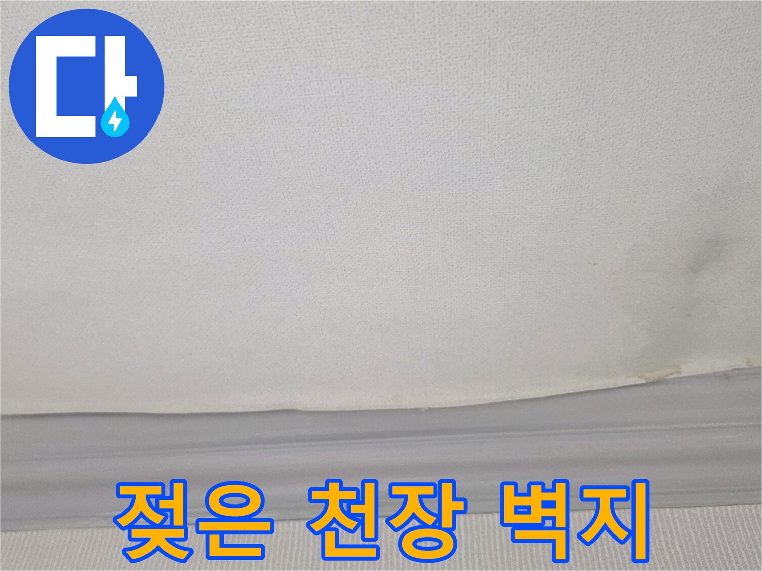 물에 젖어 변색된 거실 천장 몰딩 부근의 모습