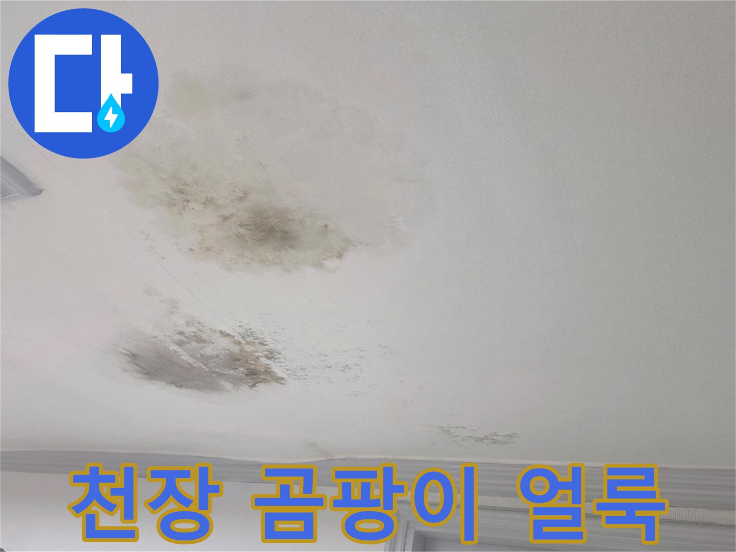 빌라 거실 천장-습기로 인해 변색되고 곰팡이가 피어오른 벽지 부위
