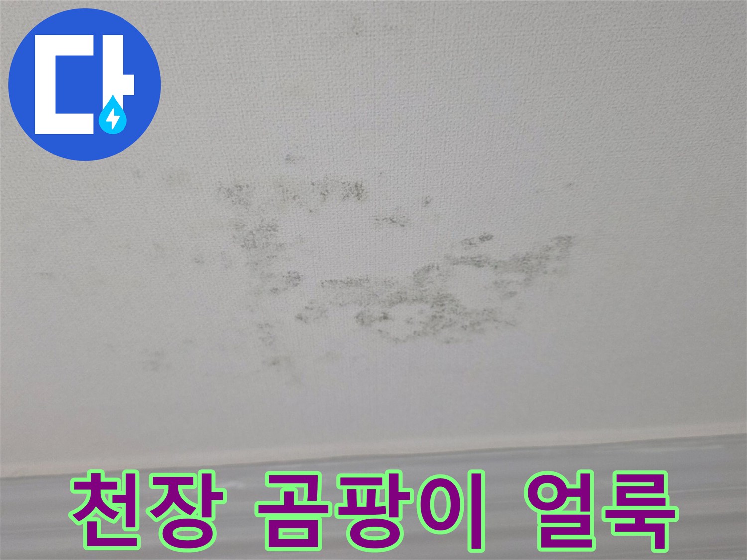 빌라 거실 천장에 발생한 검은색 곰팡이와 물 얼룩 상태