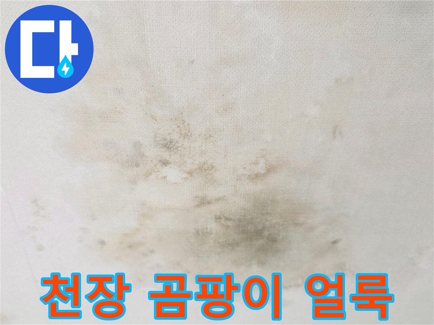 습기로 인해 변색된 거실 천장 마감재 상태