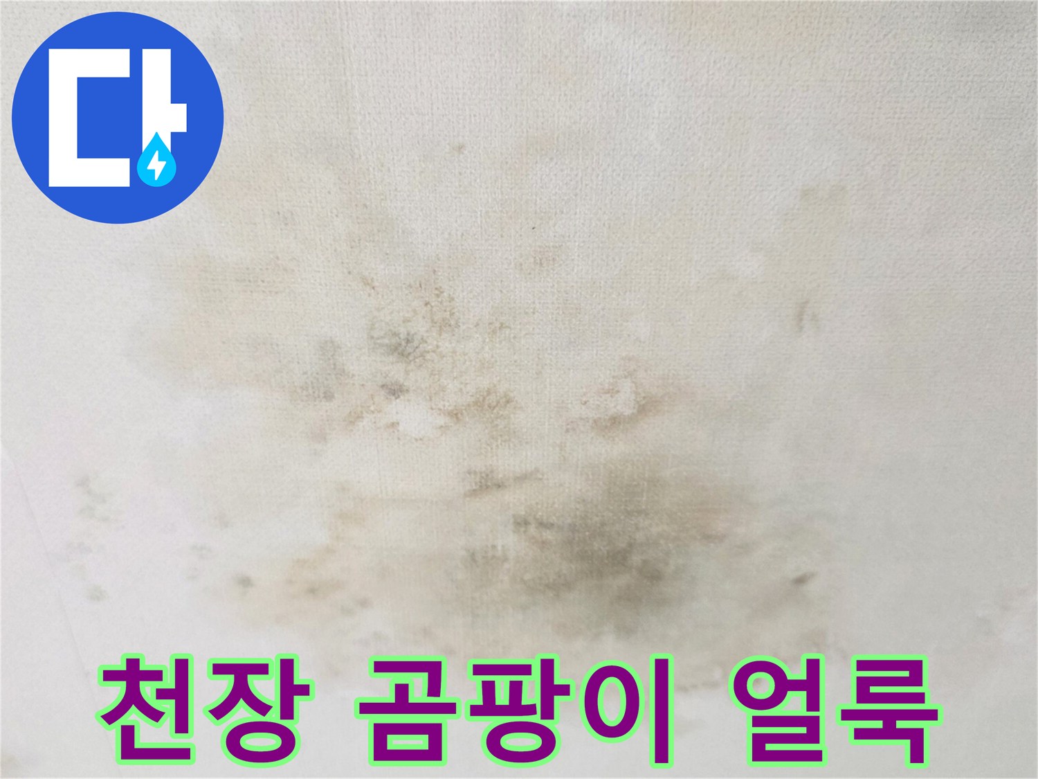 천장-벽지에-생긴-짙은-색상의-곰팡이-및-누수-흔적
