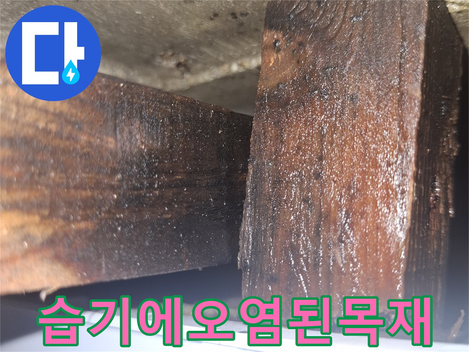 습기로-인해-검게-변색되고-부풀어 오른-나무-자재