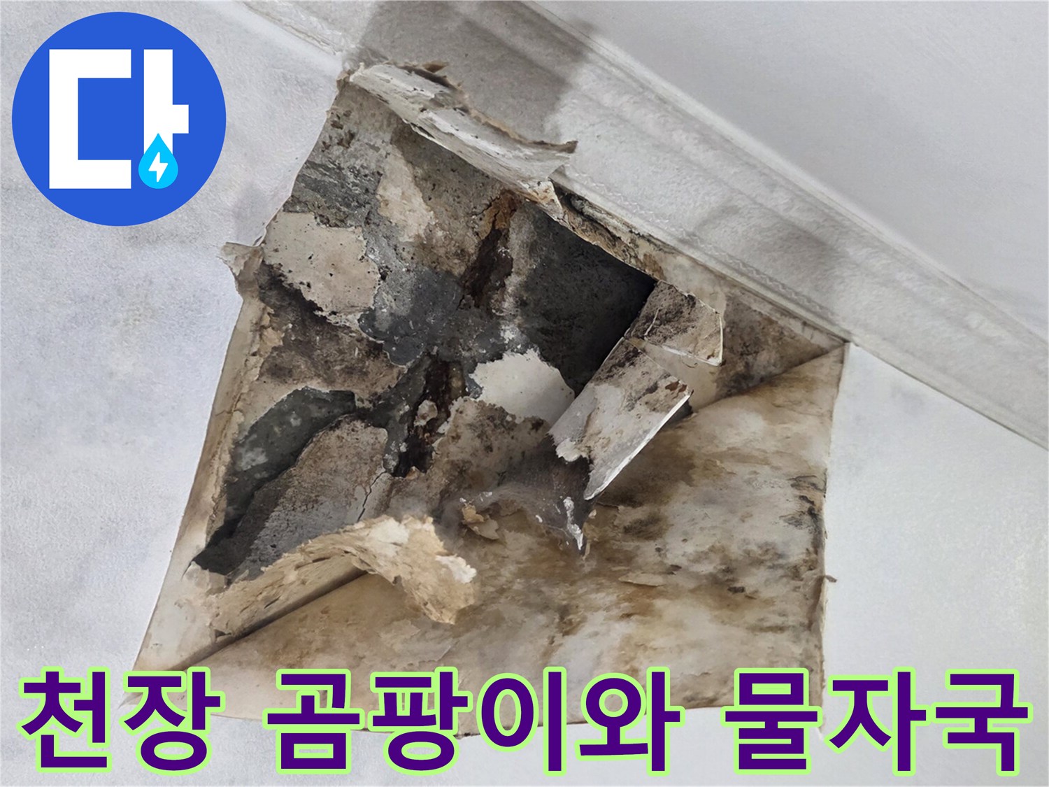 광명 하안동 아파트-천장 내부의 곰팡이와 습기 흔적