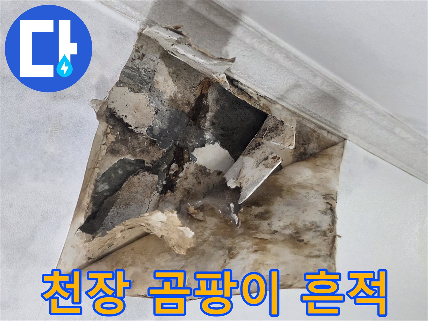 천장 내부의 습기 침투와 벽지 변색 부위