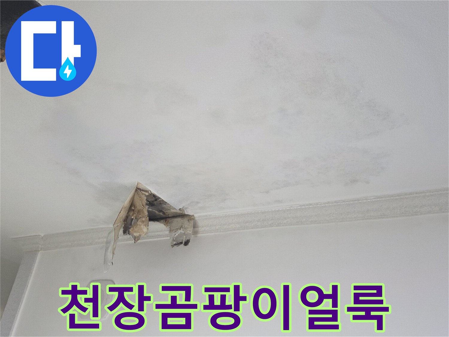 천장-마감재-부근의-심한-물자국과-곰팡이-발생-상황