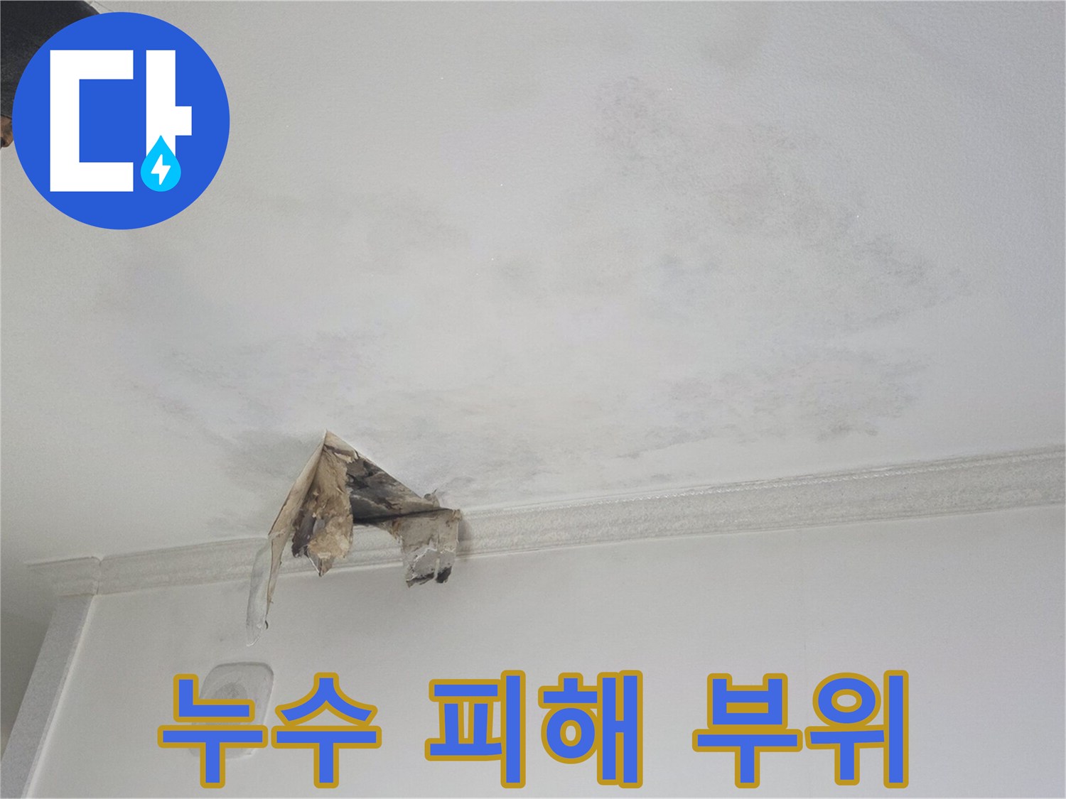 천장-벽면의-어두운-물번짐-현상