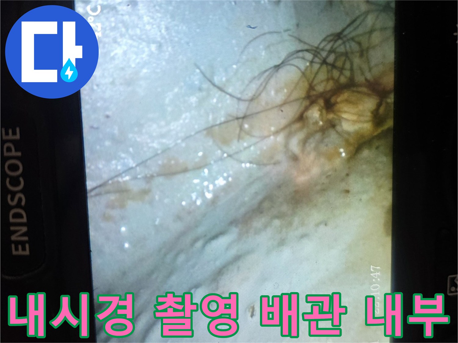 배관 주변 슬래브에 스며든 물기와 습한 환경