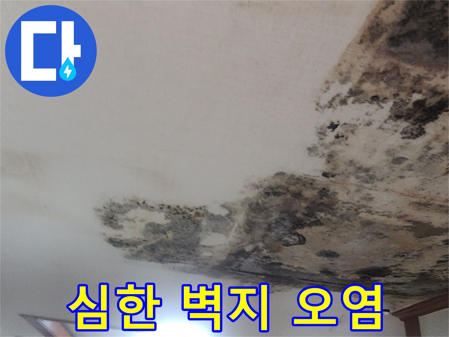 곰팡이와-습기로-얼룩진-거실-천장-벽지