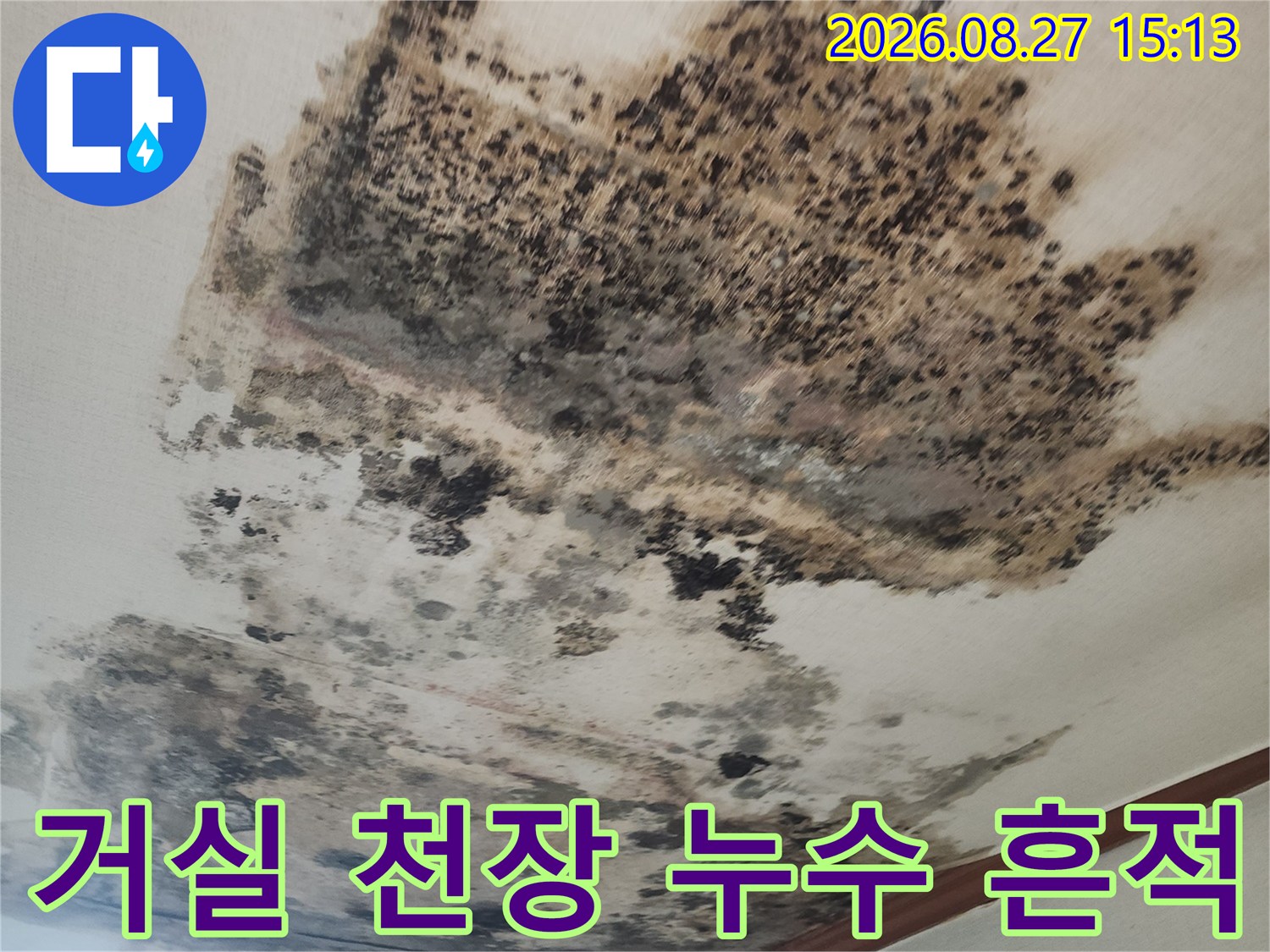 누수 발생으로 인해 넓게 번진 천장 벽지 곰팡이와 변색된 얼룩