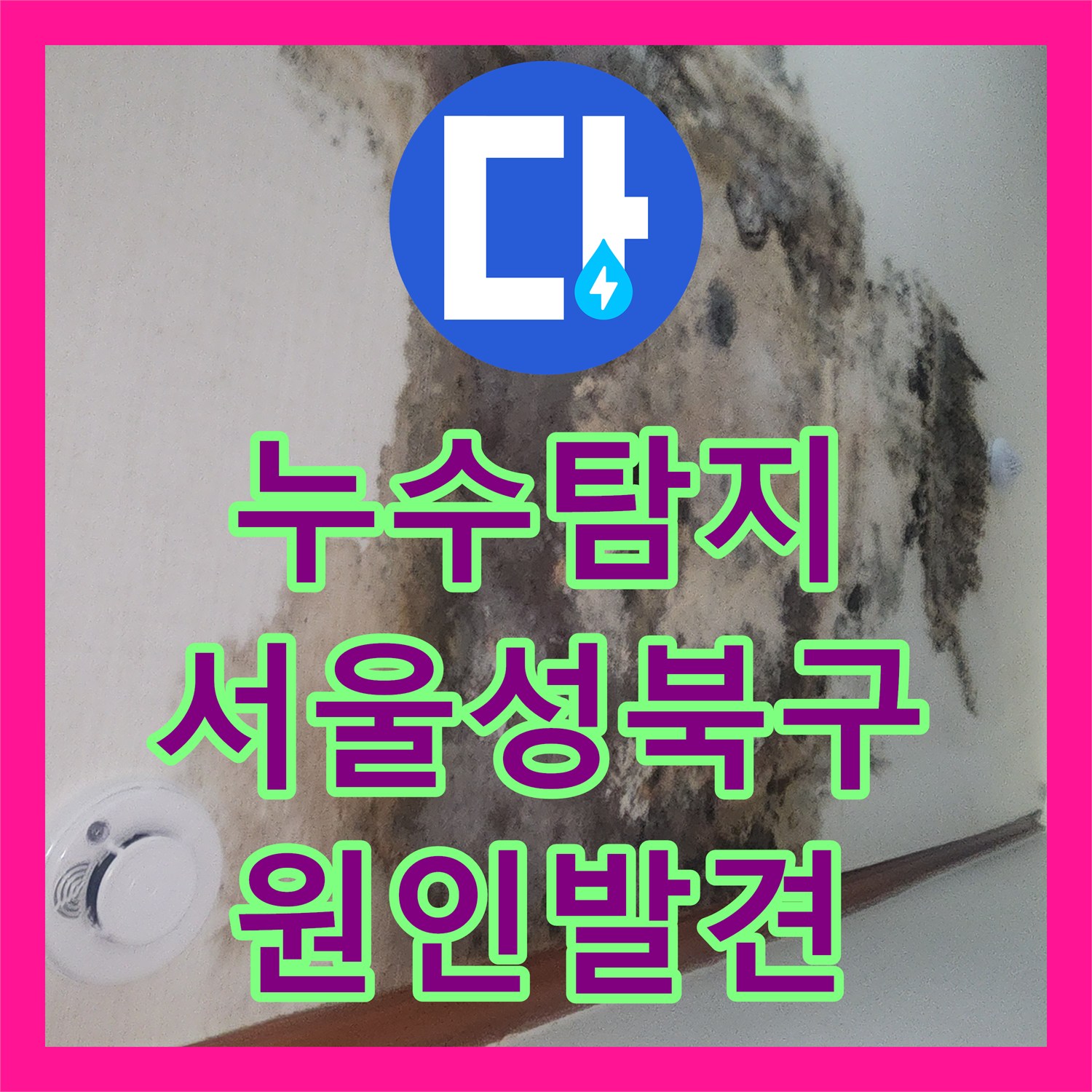 누수탐지 타 업체가 실패한 지하 거실 천장 물샘 원인을 찾아낸 서울 성북구