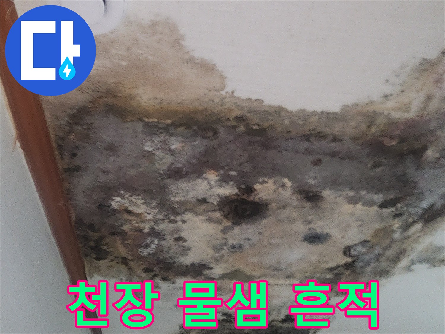 물샘으로 인해 발생한 거실 천장의 광범위한 곰팡이 사진