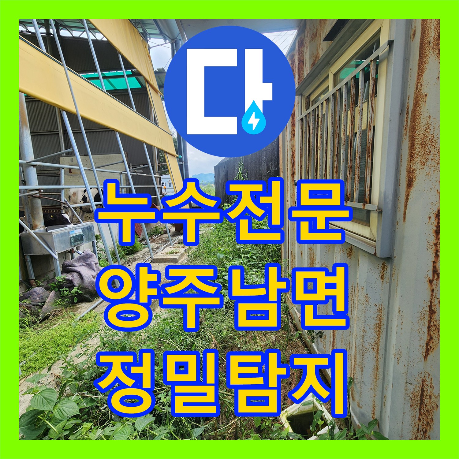 누수전문 야외 매설 배관의 물샘 지점을 정밀하게 추적한 경기 양주시 남면 사례