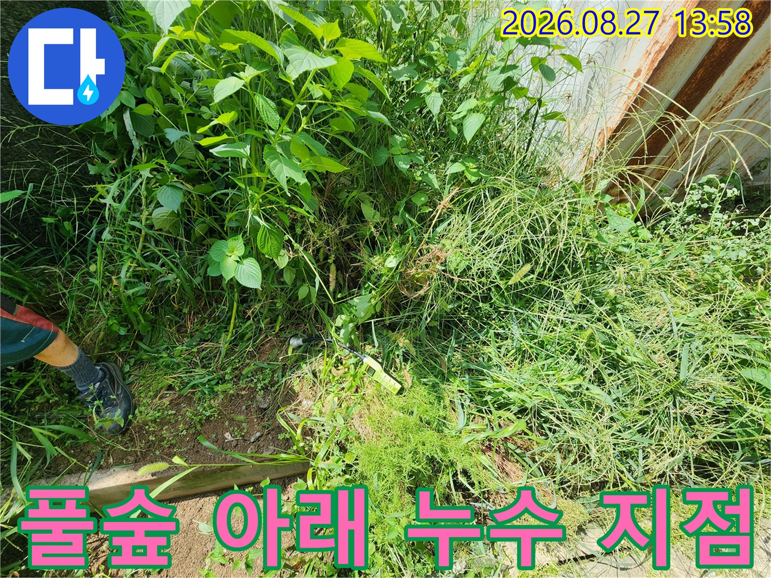 수풀이 우거진 곳-집수정 주변 배관 누수 확인 현장