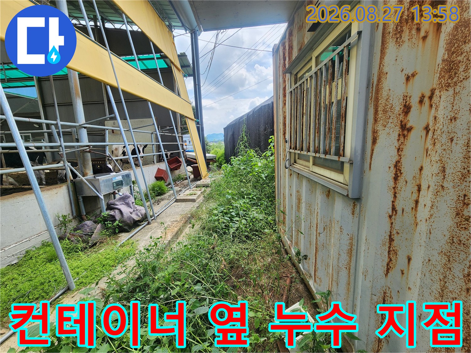 양주시 남면 목장 컨테레이 주변 수풀 지점의 누수 탐지 현장