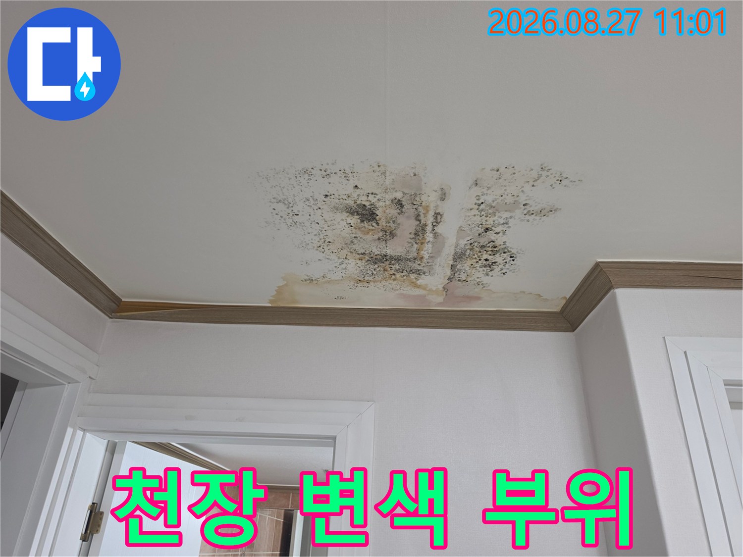 물기가 스며들어 거뭇하게 변한 천장 마감재 상태