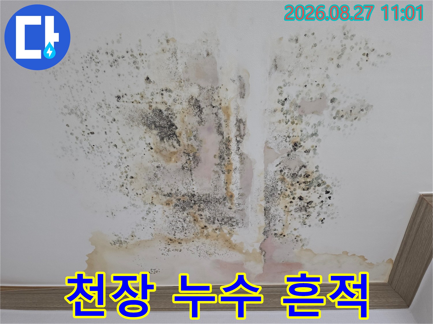 아파트 천장 마감재에 발생한 황색 물자국과 검은 곰팡이