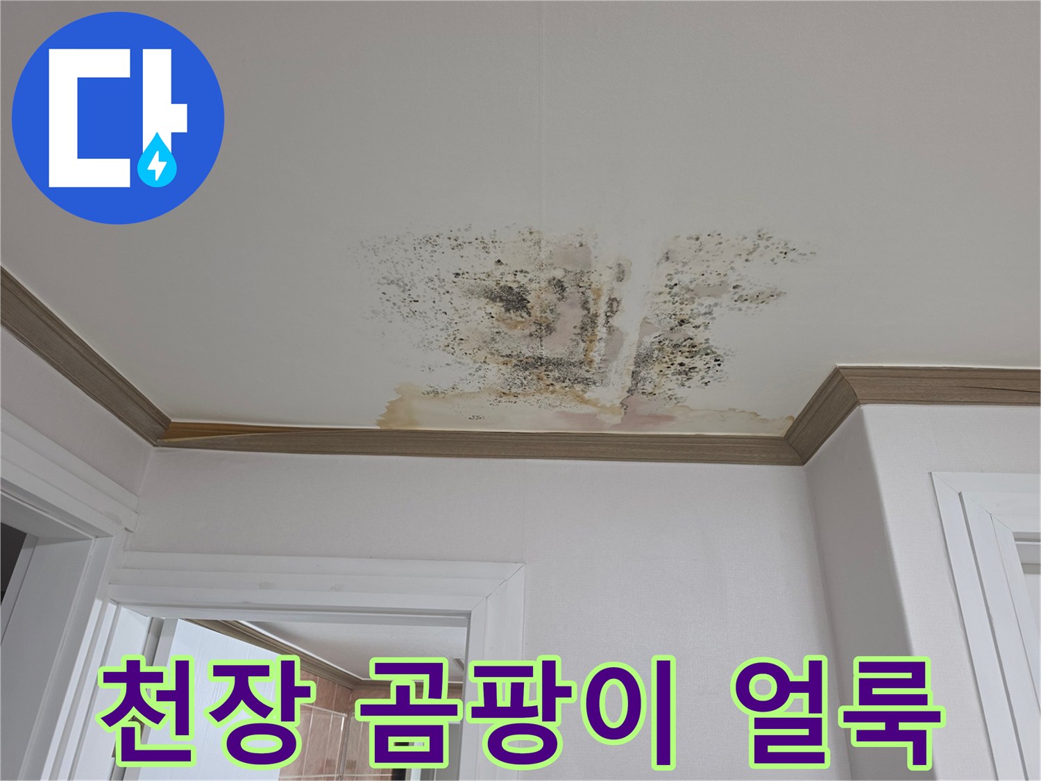천장 마감재 아래로 번져나간 누수 오염 부위